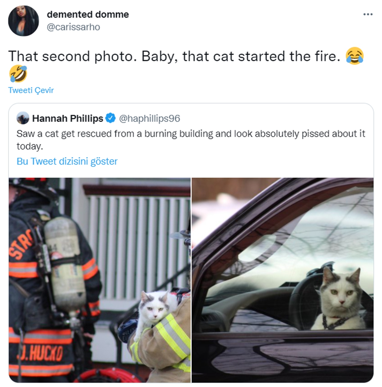 kedi yangın tweet